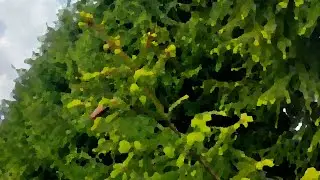 Выживание на даче без электричества и воды 2 дня /Survival on dacha without electricity&water 2 days
