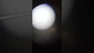 Шліфування капіляр для штучного запліднення бджоломаток.#бджільництво #бакфаст #мед #бджоли