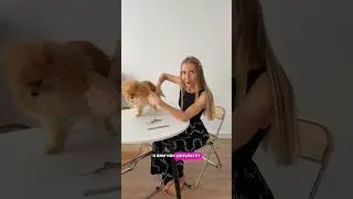 Сама подстригла шпица✂️😨 