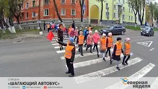 «Шагающий автобус» // СЕВЕРНАЯ НЕДЕЛЯ VDVSN.RU