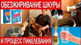Обезжиривание шкуры. Процесс пикелевания шкуры. Выделка  лисы