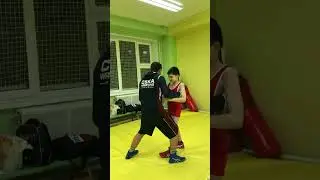 #grecoromanwrestling #грекоримскаяборьба #дети#борьба#shorts# труд#тренер#характер#мир#победы