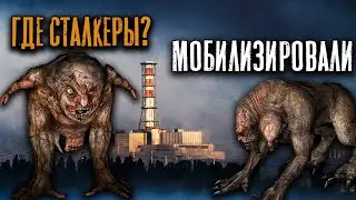 Трансляция: STALKER Clear Sky [Впервые в зоне]. #1.