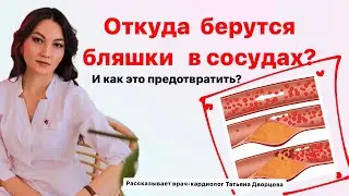 Откуда берутся бляшки в сосудах?
