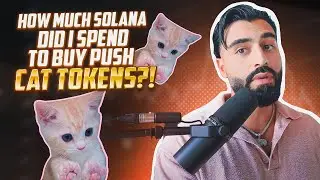 ALL I'M BUYING AND TRADING RIGHT NOW IS PUSH CAT ON SOLANA!!