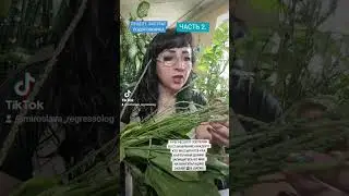 6 сентября 2024 г.