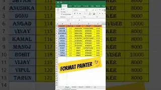 Use Of Format Painter In Ms Excel | How to Use Format Painter 
