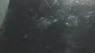 Про вино и т.д и т.п)))