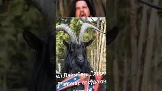 Козел Даймбега Даррелла (Pantera): откуда он взялся?