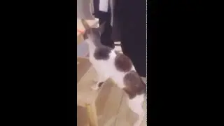 15 февраля 2016 г.