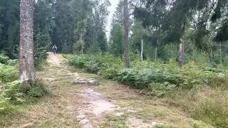 Золотая долина #shortsvideo