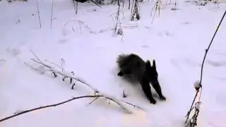 MOV102
