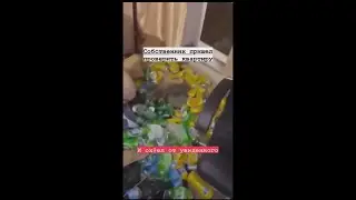 😸🔥 ПОЧЕМУ КАВКАЗЦАМ НЕ СДАЮТ КВАРТИРУ ?