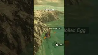AMAZING FOOD DETAIL  in THE LEGEND OF ZELDA: BREATH OF THE WILD