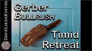 Gerber Bullrush: Timid Retreat