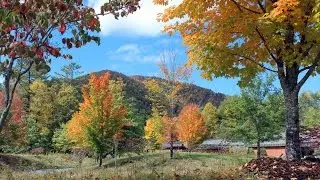 Pisgah National Forest - North Carolina