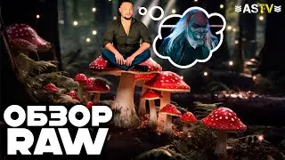 ШЕЙМУС ВЫДАЕТ ГЭНГ-БЭНГЕР! (Обзор RAW 19/08/2024)