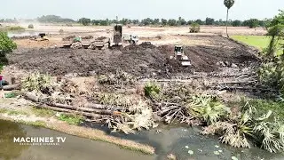 Best Technique Landfilling On Palm Tree Good Operator Bulldozer Pushing Soil Truck Unloading Soil