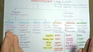 parasitology basics | Parasitology introduction 