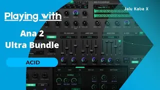 Playing With Ana 2 Ultra Bundle: Acid