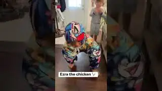 The human chicken