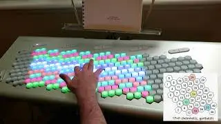 41-EDO on the Lumatone keyboard