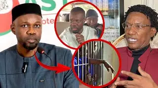 Ousmane Sonko sera libéré dans... Docteur Diallo fait de grave révélation 