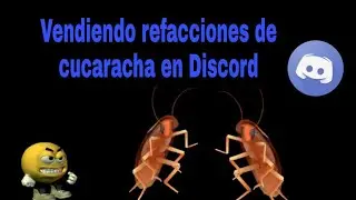 Vendiendo refacciones de cucaracha en Discord