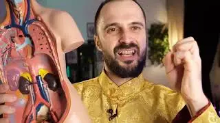 КСАМАТА - Новый щит здоровья 1-й день