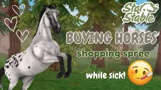 HORSE SHOPPING SPREE | Let's Chat ~ Star Stable Online