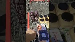 What did I buy at costco today