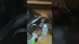 Первая......