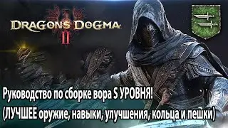 Dragon's Dogma 2 Руководство по сборке вора S УРОВНЯ! ЛУЧШЕЕ оружие навыки улучшения кольца и пешки