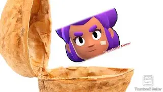 shelly in a nutshell...
