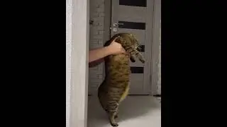 Just some funny animals for your enjoyment