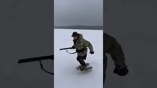 Вот кто это? 