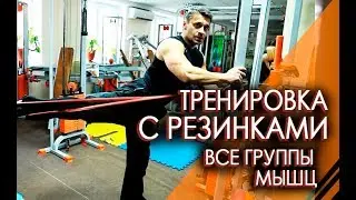 15 Упражнений с резинами на все группы мышц. Фитнес дома