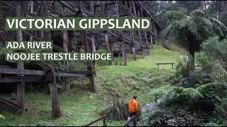 Victorian Gippsland - Ada River and Noojee Trestle Bridge (Short Day Trip!)
