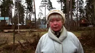 Незаконная вырубка или короед?!
