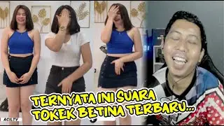 SUARA TOKEK BETINA TERBARU 😂 REACT NGAKAK