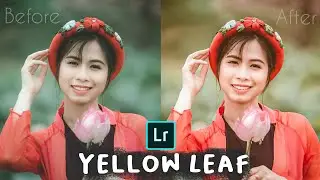 Tutorial Edit Foto Yellow Leaf Tone - LIGHTROOM MOBILE TUTORIAL INDONESIA