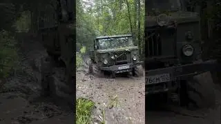 Газ 66 пробивает царь лужу #4x4 #offroad #v8 #газ66