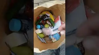 Разводила TikTok