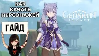 Как качать персонажей в Genshin Impact на примере моей команды