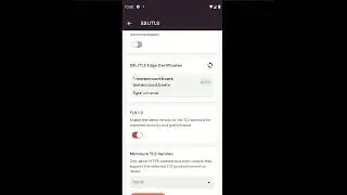 How to Enable and Disable Enforce Web Security on Cloudflare on Mobile App?