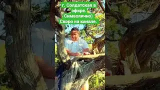 Нашел удобное дерево :-)