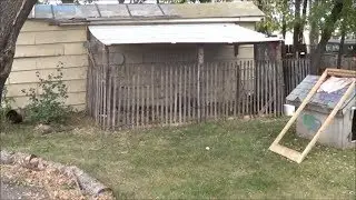 Finishing the Chicken Pen