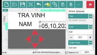 How to connect SQL database with Rynan R 20 printer