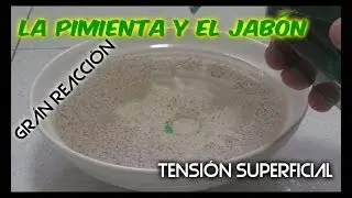 [Virus vs Jabón] Experimentos caseros: La reacción de la pimienta con el jabón. Tensión superficial.