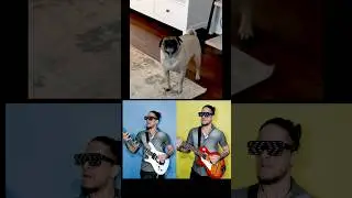 heavy metal remix with @FlokiandVienna 🐕🎸🎶🤘 the Pug dog rock'roll